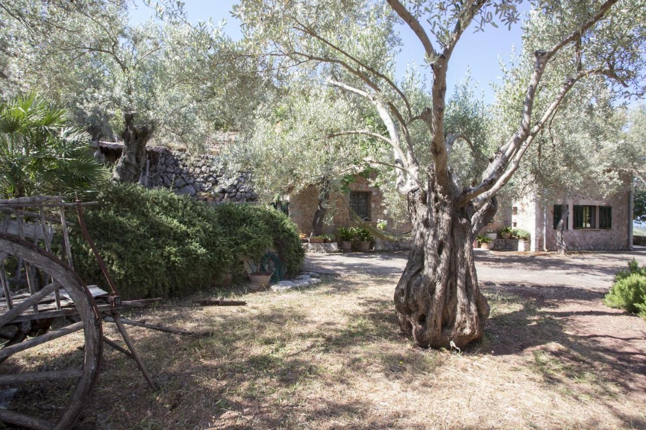 Villa Es Coco, Soller Port De Soller Luaran gambar